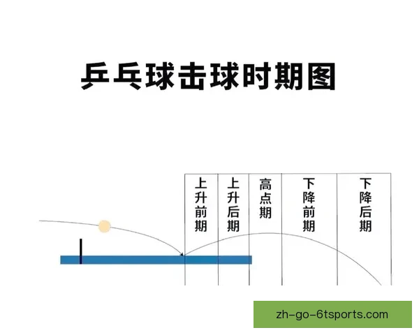 乒乓球比赛规则与技巧大揭秘