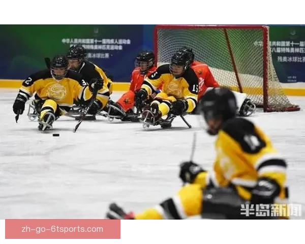 冰球狂潮：速度与激情的冰上对决