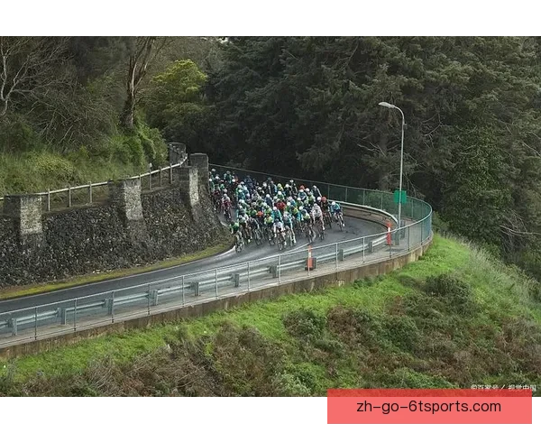 山地车联赛：探寻极速与激情