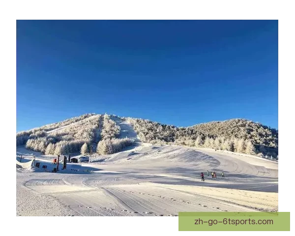 滑雪规则解读与应用技巧分享
