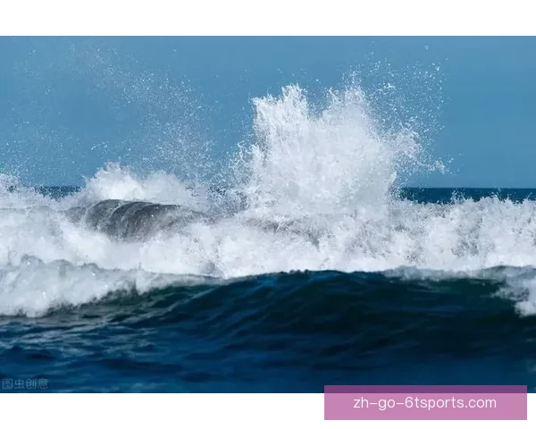 破浪之巅：冲浪杯赛风起云涌