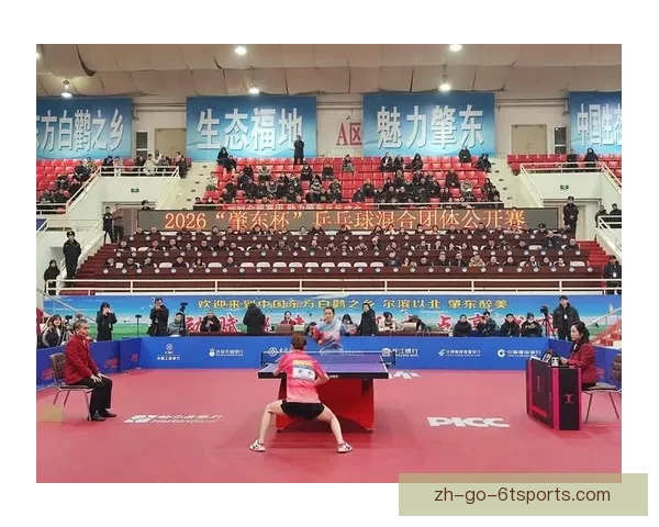 精彩乒乓球直播带你感受全新赛场氛围