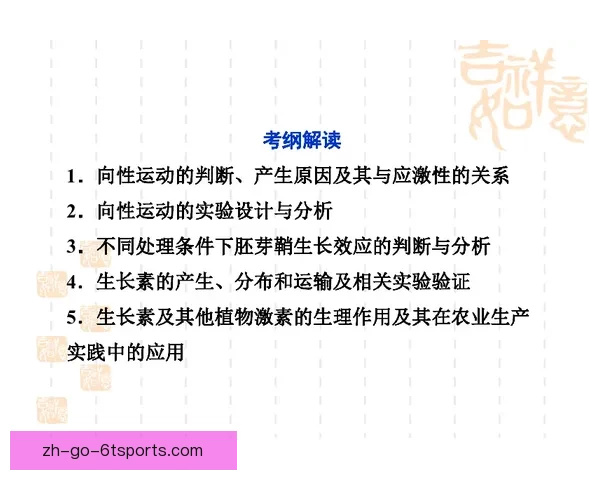 马拉松训练全指南：科学计划、心理调节与跑前准备