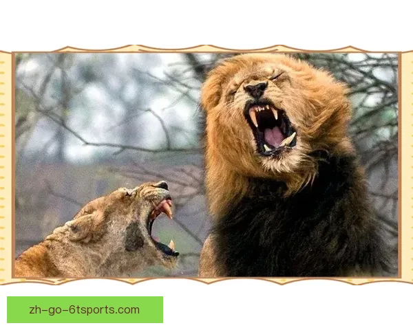 高尔夫联赛：争锋对决，谁能笑到最后？