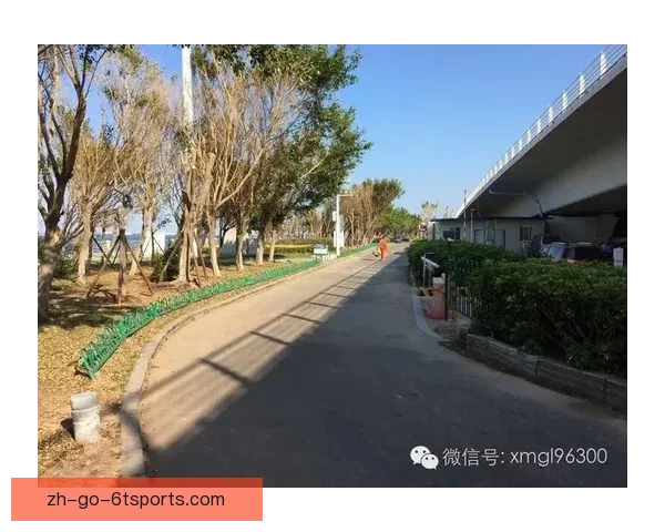 铁人三项实时数据精准传递